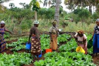 Agritourism in Tanzania: Boosting Organic Farming & Sustainability